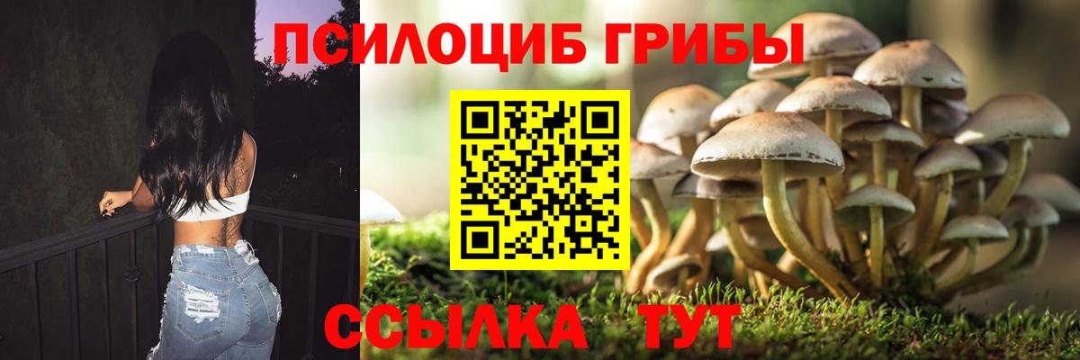 Галлюциногенные грибы мухоморы Псков